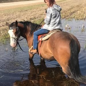 Meet your Posher, Karen